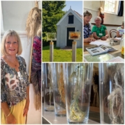 jo huijsman – de expositie