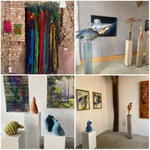 diversity 7 - jo huijsman