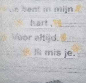 een brief aan mijn broertje